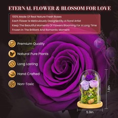 Forever Flowers Preserved Roses Prime Delivery For Women, Glass Dome Purple