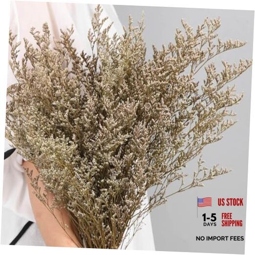 Dried Flowers Bouquet, Dry Caspia Flower Bundle, Floral Lavender, Babys Natural