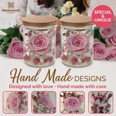 Havenstock Pink Rose in a Glass Dome – Premium Real Roses That Last