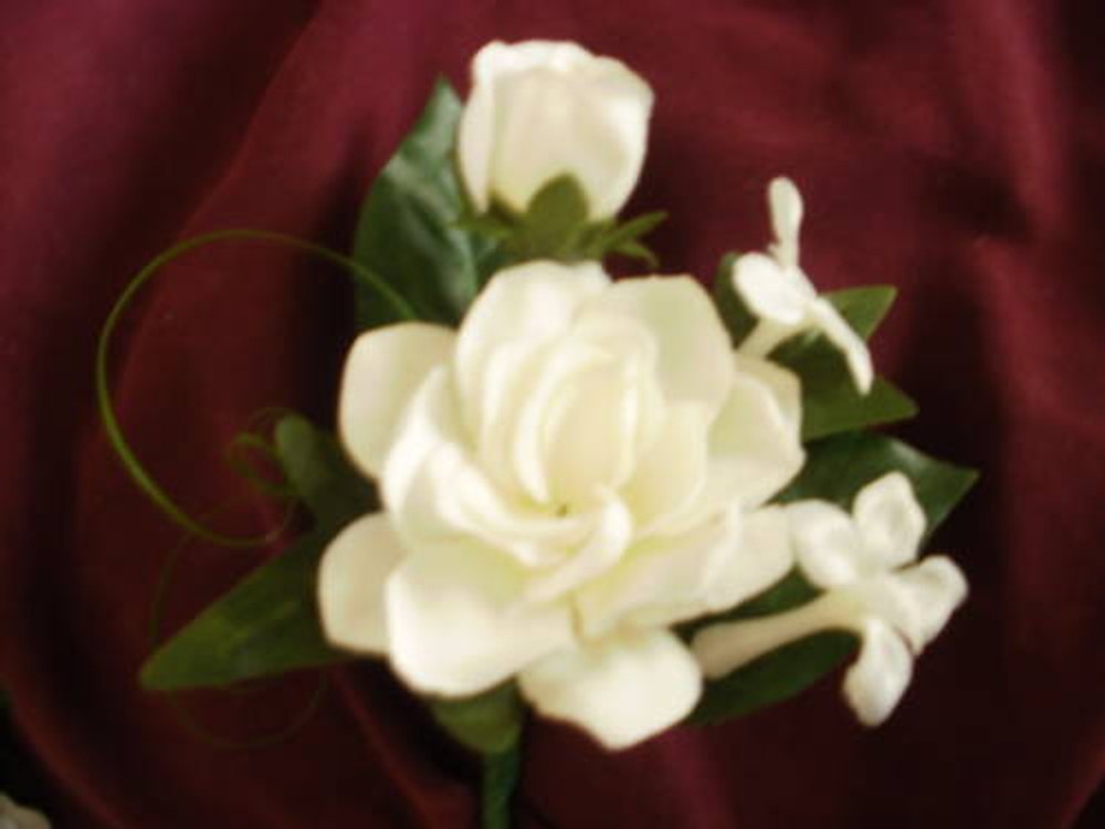 Wedding Gardenia stephanotis white or ivory boutonniere