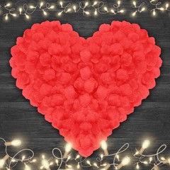 4500 Pack of Realistic Red Rose Petals for Romantic Occasions & Weddings