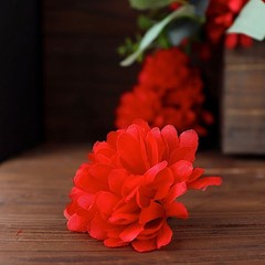 36 Red bushes Silk CHRYSANTHEMUMS Ball Wedding Flowers Bouquets Decorations SALE