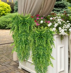 10pcs Artificial Hanging Plants Flowers Outdoor Fake Fern Garland Wedding Decor