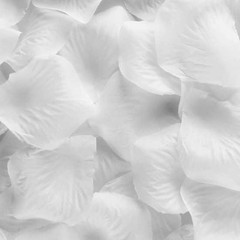 Faux Flower Petals Lot Red Pink White Bath Party Wedding Valentine’s Day Decor
