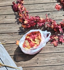 Silk Artificial Fall Maple Leaf Garlands Sprays & Loose Leaves
