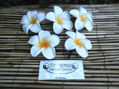 Frangipani Hairclips – colours & white – S – L