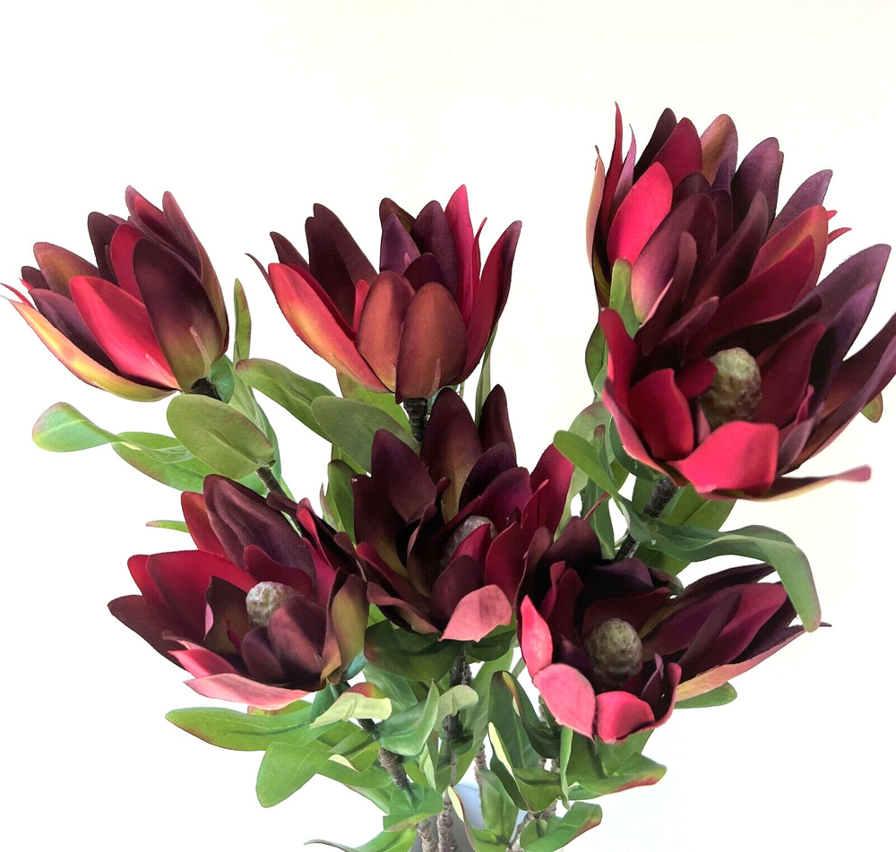 Australian Native Flower Silk Leucadendron Flowers Burgundy Red Artificial Stem
