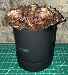 The Million Roses Los Angeles Black With Gold Roses Beautiful Piece lightly Used