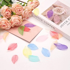 100Pcs Dark Pink Skeleton Leaves 2″- 3″ Rubber Tree Scrapbooking
