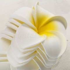 Artifical Plumeria Foam Frangipani Flower For Wedding Party Decor 10/50pcs D2018