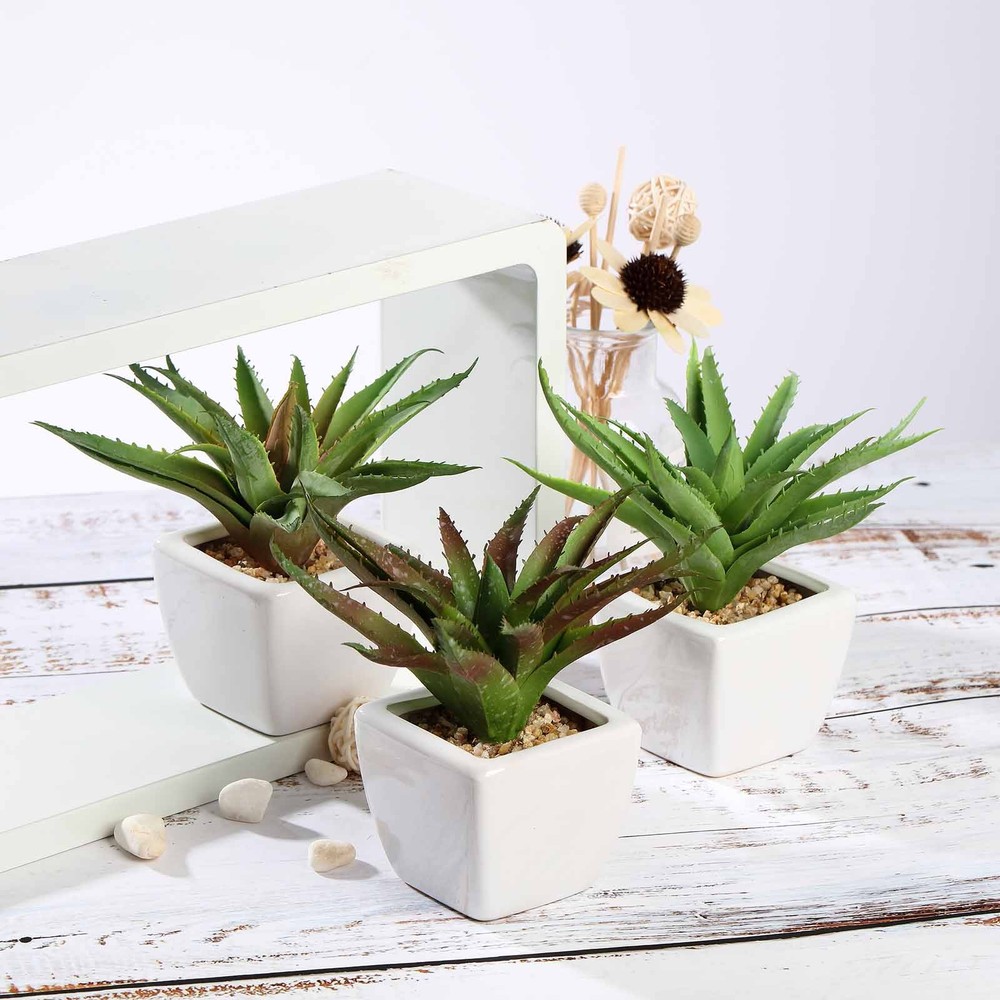 3 Green 5″ tall Mini Assorted Faux Aloe Succulent Plants White Ceramic Pots Home
