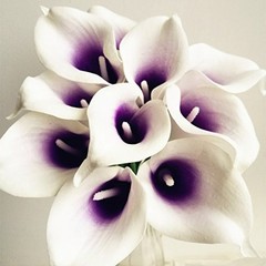 20pcs Calla Lily Bridal Wedding Bouquet Head Latex Real Touch Flower Bouquets…