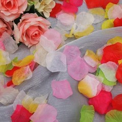 Multicolor Artificial Silk Rose Petals – 2000 PCS Fake Flower Decoration for Wed