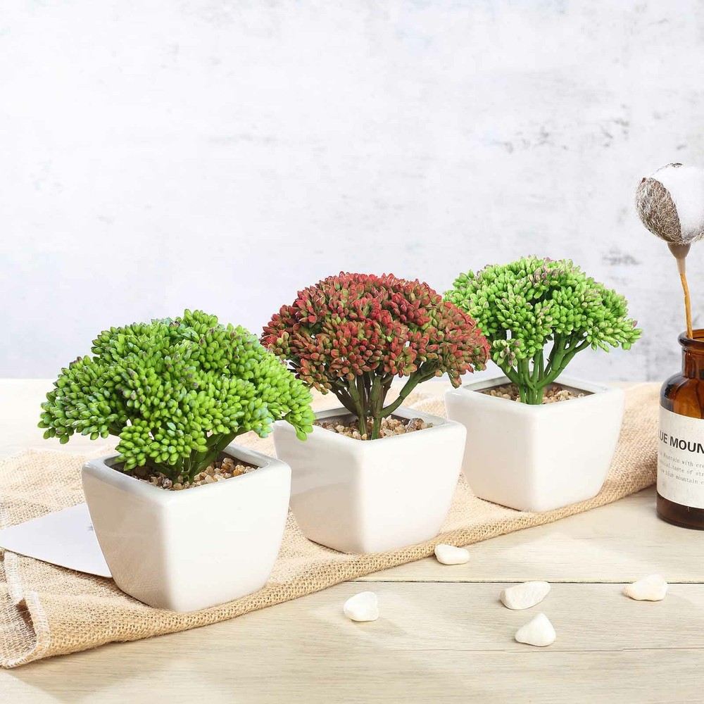 Burgundy Dark and Light Green 6″ Faux Sedum Succulent Plants Off White Pots