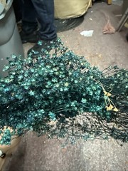 Dried Babys Breath (Dried Gypsophila) Dyed Bluish Color