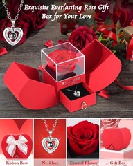 Preserved Red Forever Rose Heart Necklace Gift Box, Medium, Red,silver