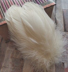 Ivory Goose Feathers 6-8″ 12 Pc Wedding Millinery Crafts Decoration