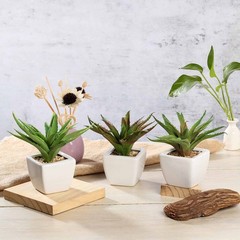 3 Green 5″ tall Mini Assorted Faux Aloe Succulent Plants White Ceramic Pots Home