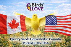 Premium Non-GMO Double Cleaned Canary Seed – 5 lbs for Birds
