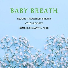 Artificial Baby Breath Flowers Fake Gypsophila Bouquets 12 Pcs Plastic White