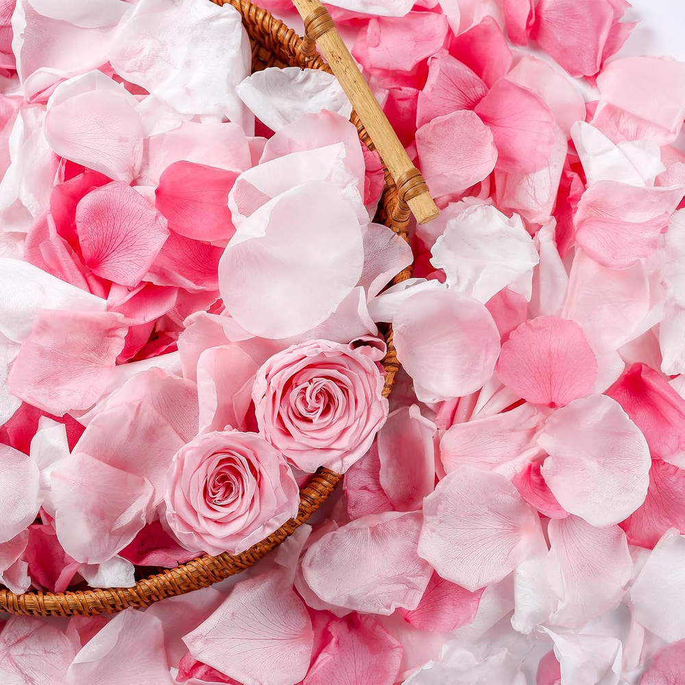 300 PCS Real Pink White Rose Flower Petals Confetti for Wedding Flower Girl to T