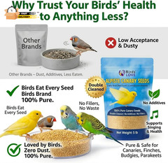Alpiste 100% Non-Gmo Double Cleaned Canary Seed 5Lbs | Canary and Fi