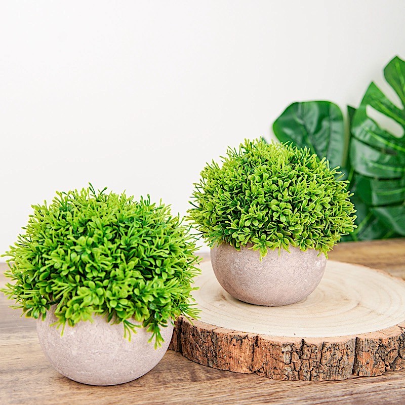2 GREEN GRAY 5″ Mini Boxwood Topiary Potted ARTIFICIAL PLANTS Home Decorations