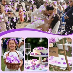 180 real purple-white rose petals, suitable for wedding flower girls to scatter