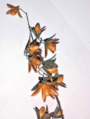 Dry flowers for make beautiful decorations wall decorations 20 flowers in set