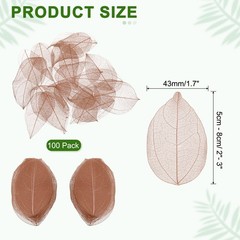 100Pcs Dark Coffee Skeleton Leaves 2″- 3″ Rubber Tree Scrapbooking