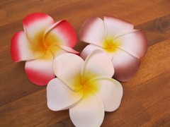 Frangipani Hairclips – colours & white – S – L