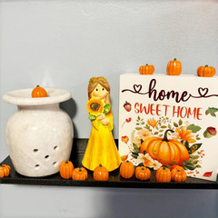 Mini Pumpkins for Crafts, 60Pcs Decorative Miniature Pumpkin, Little Fake Pumpki