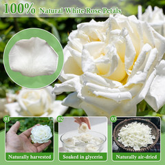500+ PCS Real White Rose Petals, 4.57Oz (130G) Preserved White Flower Petal for