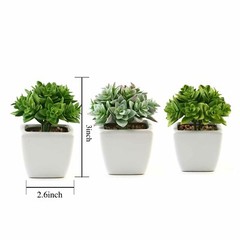 Green 3 Assorted 4″ Faux Crassula Succulent Plants Off White Pots Party