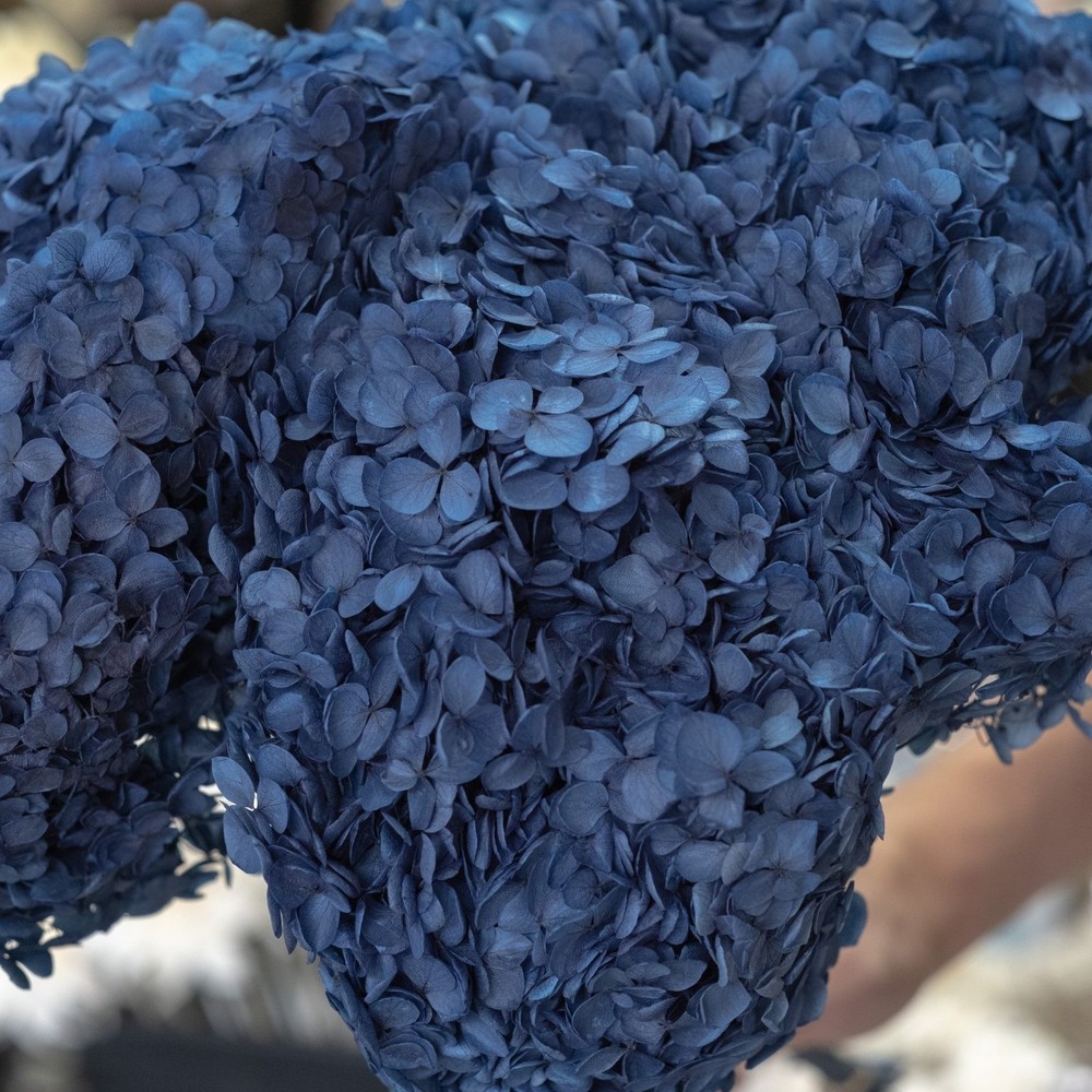 Dried Hydrangea Annabelle Navy Blue Preserved Flower Floral Decor Home Wedding