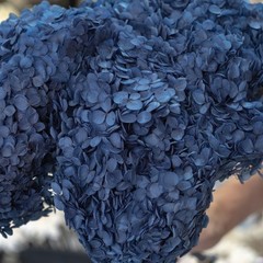 Dried Hydrangea Annabelle Navy Blue Preserved Flower Floral Decor Home Wedding