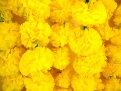 Yellow Marigold Wedding Decor Vine Flower Diwali Decorative Wall Hanging Garland