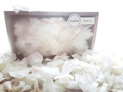 Natural White Rose Petals 8.11oz – Dried Flower Confetti for Weddings, Parties &