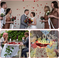 2200PCS Artificial Flower Petals Fake Rose Petals for Romantic Night,Wedding,Pro