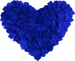 1000 Pcs Artificial Silk Rose Petals Decoration Wedding Party Color Sapphire Blu