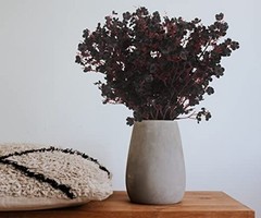 10 Pcs Babys Breath 2 inches (D) x 17.7 inches (W) x 2.5 inches (H) Black