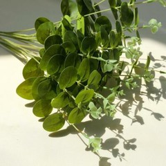 Eucalyptus Greenery 2 bushes Light Green Branches Artificial Wedding Party Home