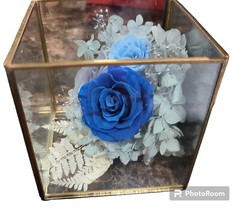 Preserved Roses in Glass Box/Terrarium❤️Wedding /Anniversary/ Birthday Gift