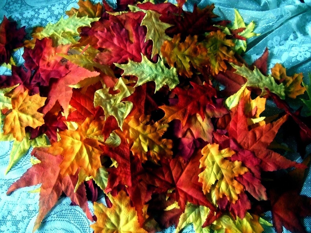100 Fall Autumn Maple Leaves Mix Colors Sizes Wedding Thanksgiving Class Endless