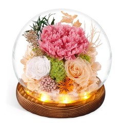Gifts for Mom, Mothers Day from Husband Daughter Son, Birthday Women Wife Gifts.