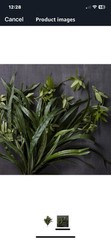 1 Pcs Artificial Plants Spider Hanging Chlorophytum Grass Vine.