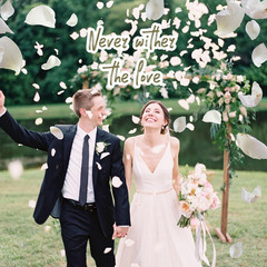 3.5 Oz Dried Rose Petals Wedding Biodegradable Petals, Natural Preservation Real