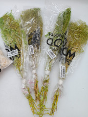 SOLA WOOD FLOWERS BOUTONNIERE BOUQUET ASSORTMENT | NO BARK