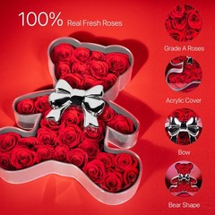 JoyFlower Preserved Roses Bear Gift for Women, Romantic Eternal Flowers Red