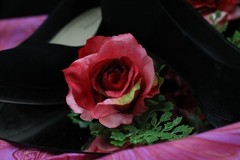 Hot pink roses w/ pink calla lily floral bouquet w/ matching boutonniere